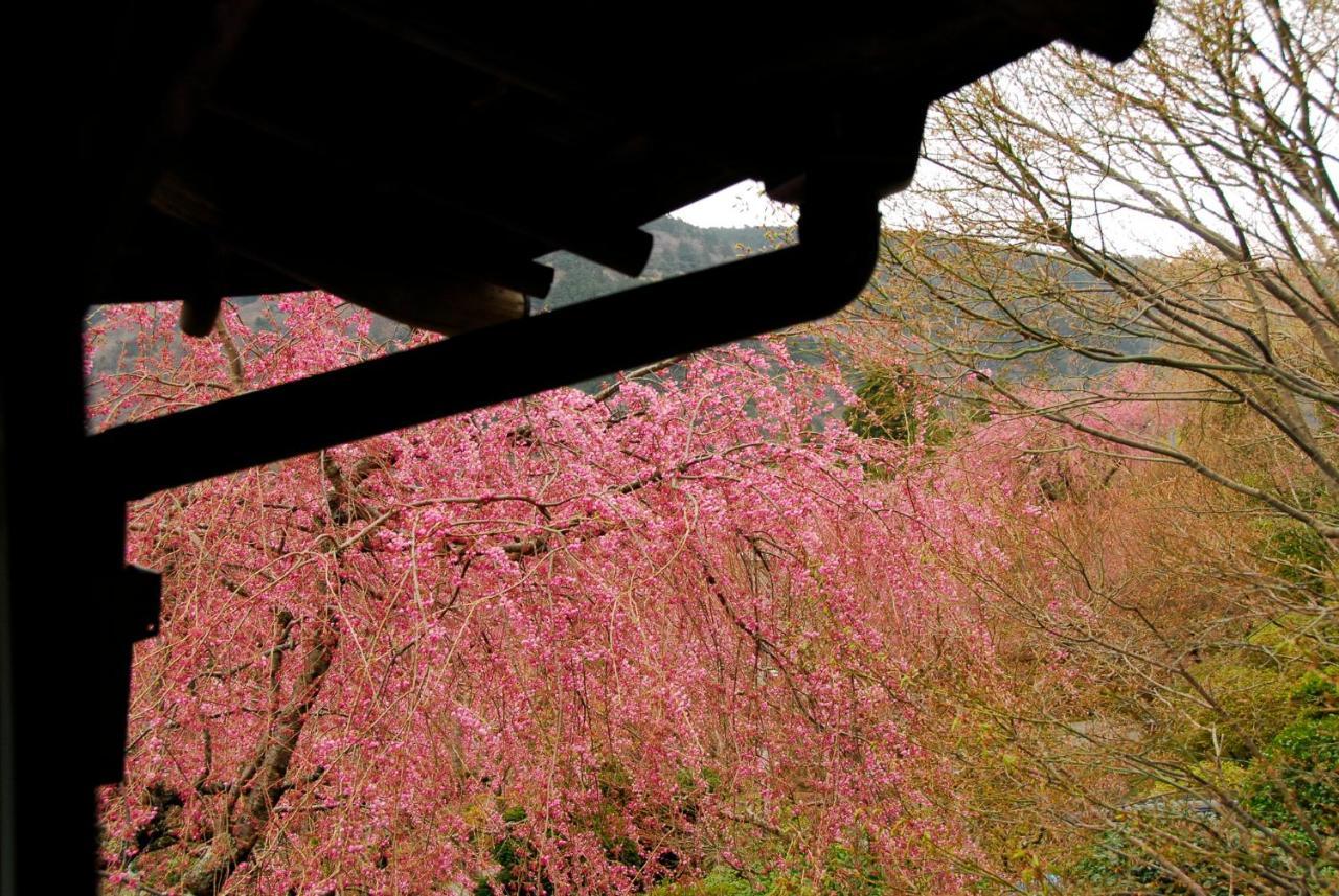 Hakone Kowakien Mikawaya Ryokan Kültér fotó